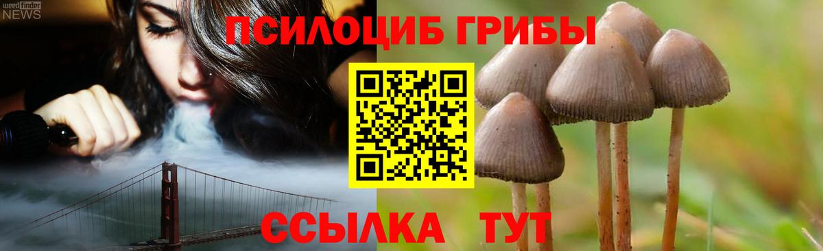 Псилоцибиновые грибы мицелий Протвино